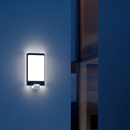Steinel Buitenlamp L 240 LED Antraciet- 056506