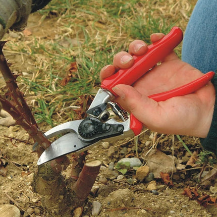 Felco 10 snoeischaar -1508355