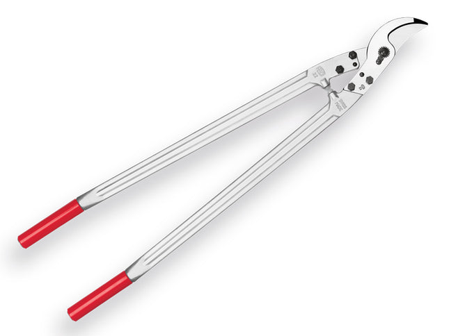 Felco takkenschaar 22