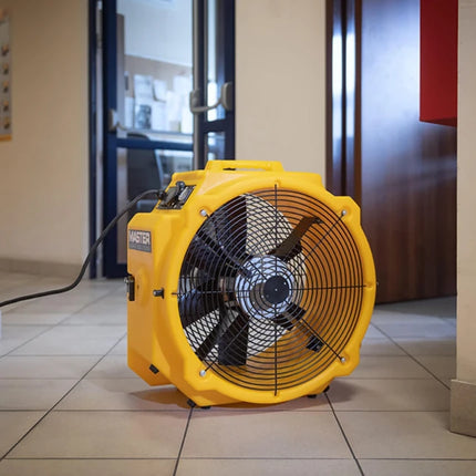 Master Ventilator DFX 20 P