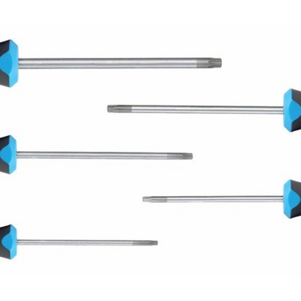 Gedore 3-C schroevendraaierset 5-dlg TORX T10-T30